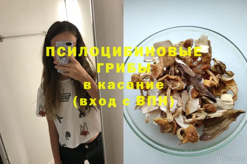 Псилоцибиновые грибы Psilocybe  blacksprut зеркало  Лесосибирск 